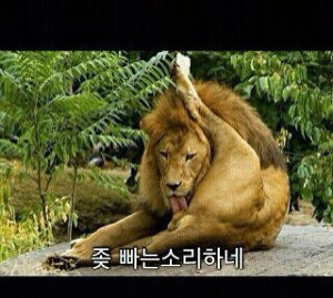 궁뎅이 이미지