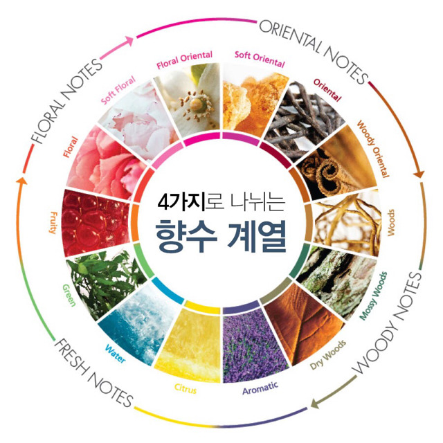 여자들이 선호하는 남자 향수 | 인스티즈