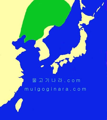 (합)태*사 이미지