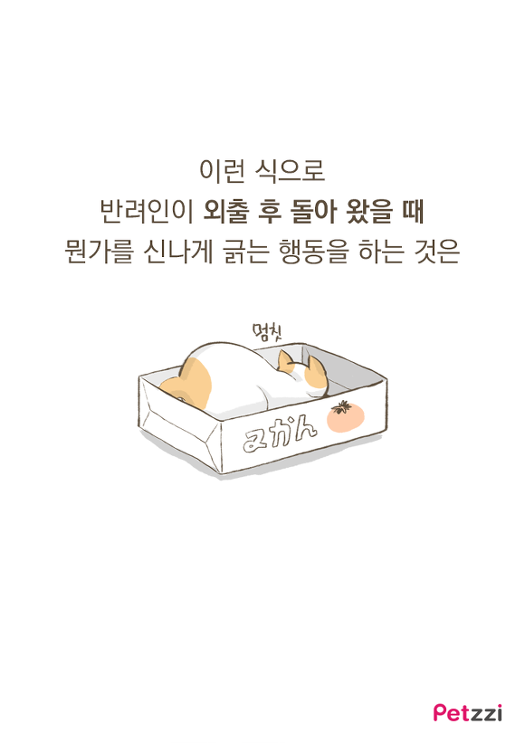 고양이가 긁는 이유(만화).jpg | 인스티즈