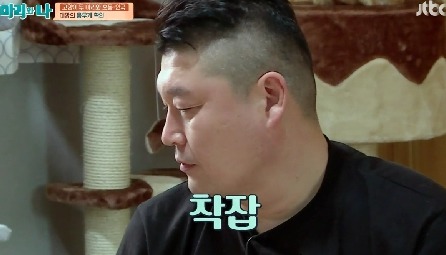 [마리와나] 뚱보냥 호동이 다이어트 시키기 (feat.먼지) | 인스티즈