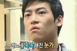 반려동물 키우는 사람들의 흔한 고민거리 | 인스티즈