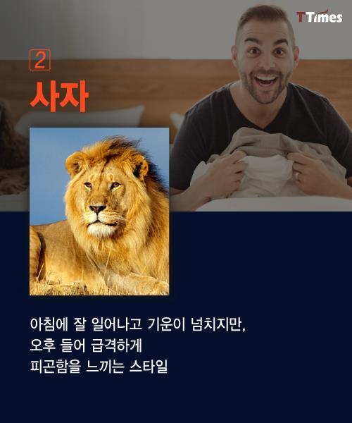 수면 패턴으로 알아보는 인간형 분류 | 인스티즈