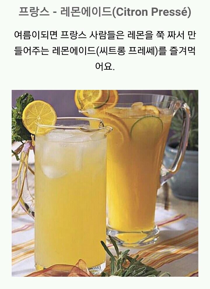 세계 각 국의 여름 음료 | 인스티즈