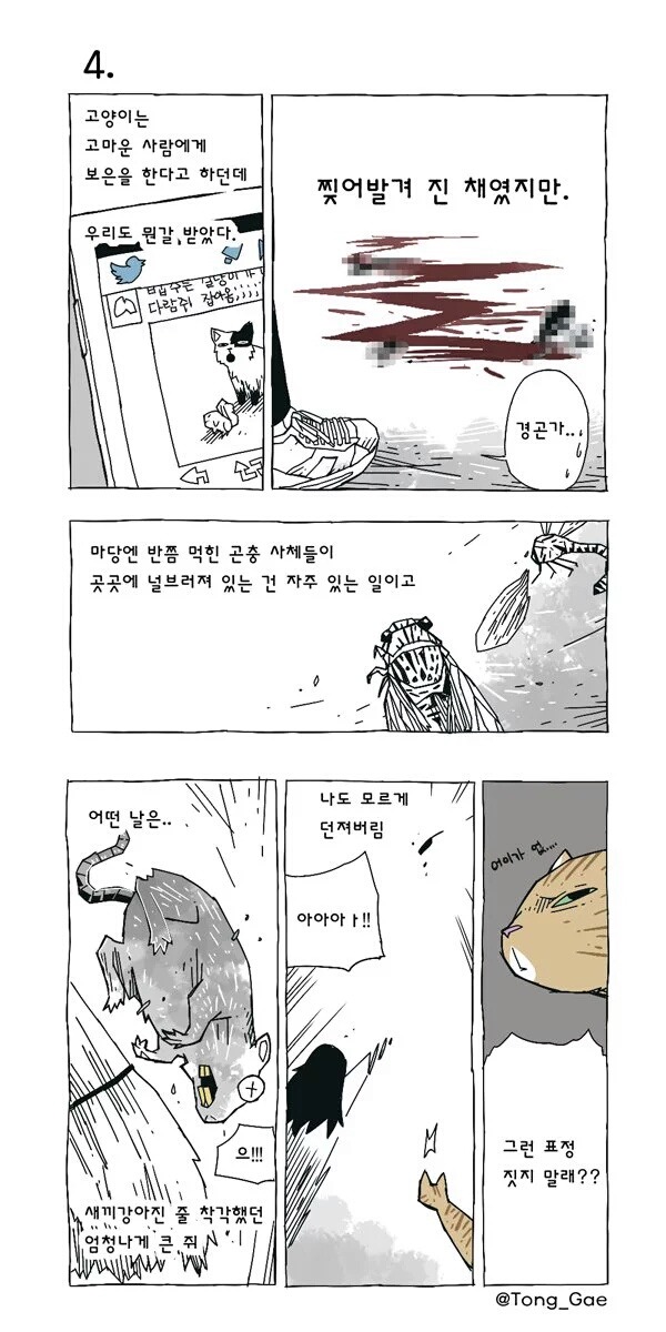 고양이 여덟마리와 사는만화 | 인스티즈