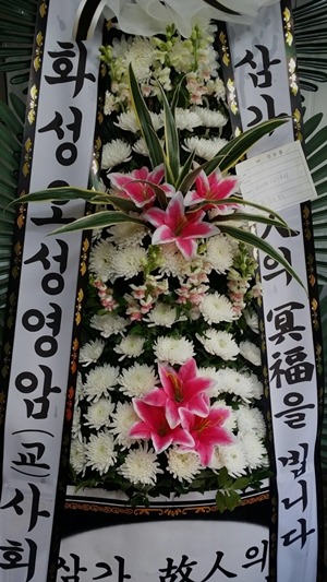 팔육회 이미지