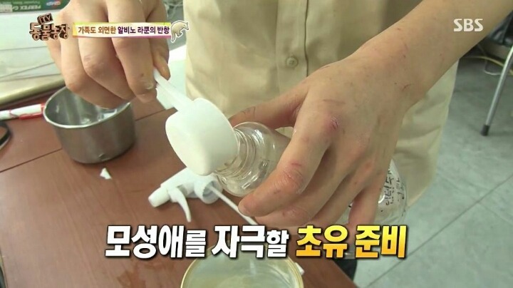 힘들어하는 여성 동물 사육사..jpg | 인스티즈