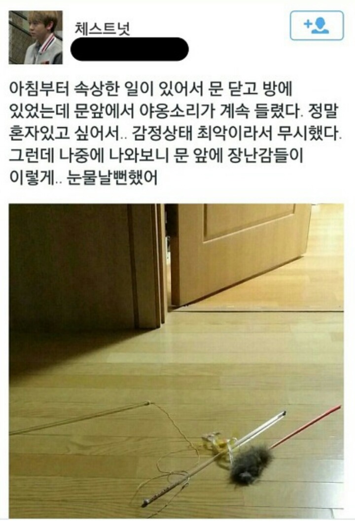 주인이 힘들어할때 고양이의 반응 | 인스티즈