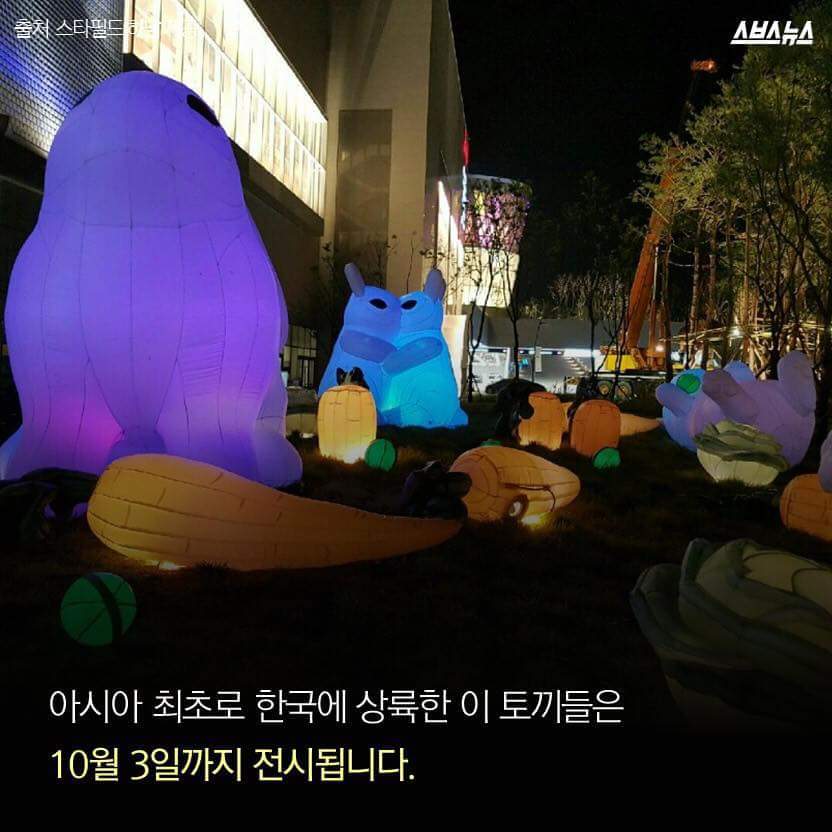 한국을 습격한 거대 토끼 | 인스티즈
