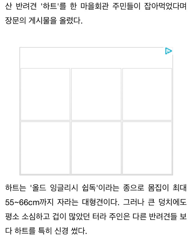 수렵시대 대한민국 | 인스티즈
