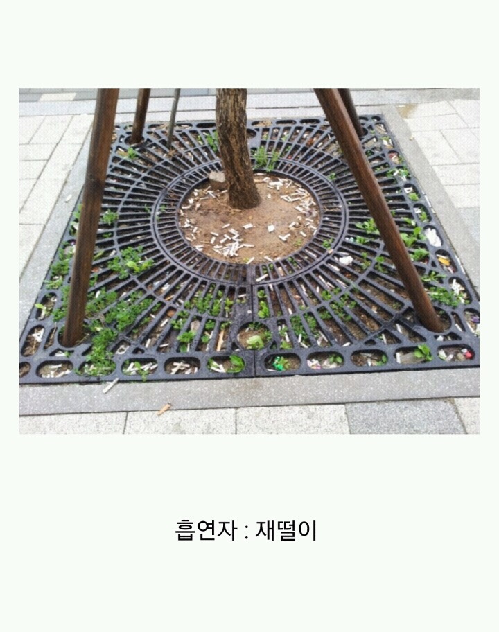 꽁초충 길빵충 가래충이 시룸인 이유 (feat.푸념주의) | 인스티즈
