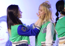 트와이스 애완 멤버.gif | 인스티즈