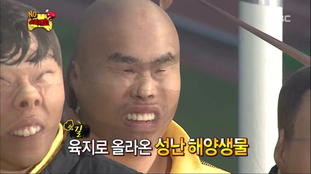 육지로 올라온 성난 해양생물과 너무 비장한 해양생물 | 인스티즈