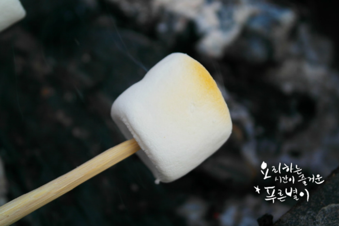 바다향가득한 이미지