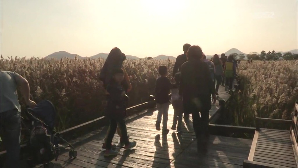 반도의 흔치않은 여동생과 오빠.jpg | 인스티즈
