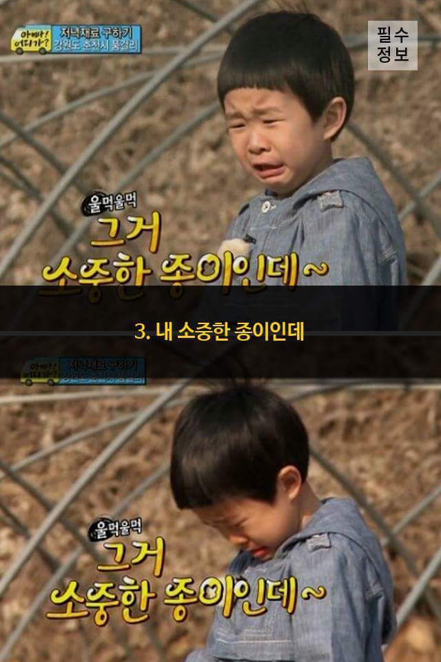 랜선 애기들이 남긴 유행어 7가지! | 인스티즈