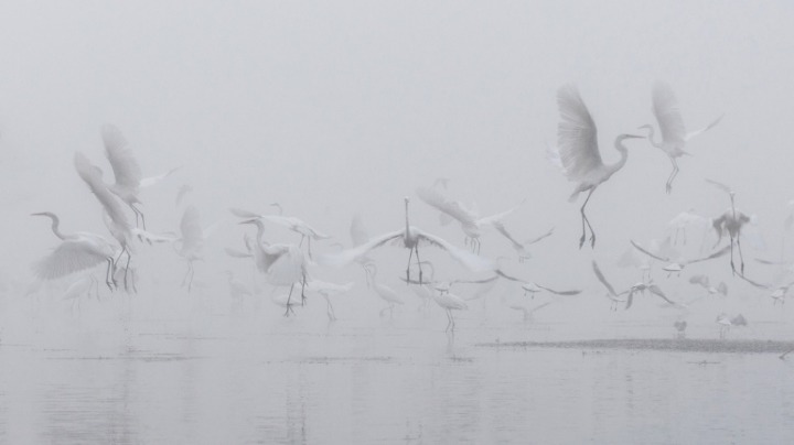 포토샵없이 찍은 세계의 베스트 사진.jpg | 인스티즈