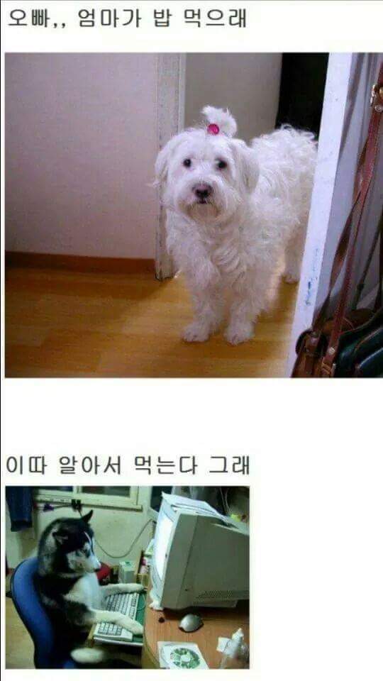 밥먹으래 | 인스티즈