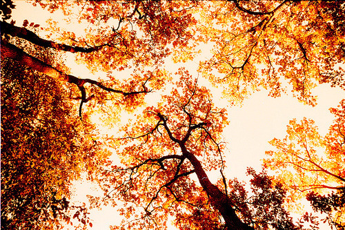 좋아하는 계절을 골라보자 | 인스티즈