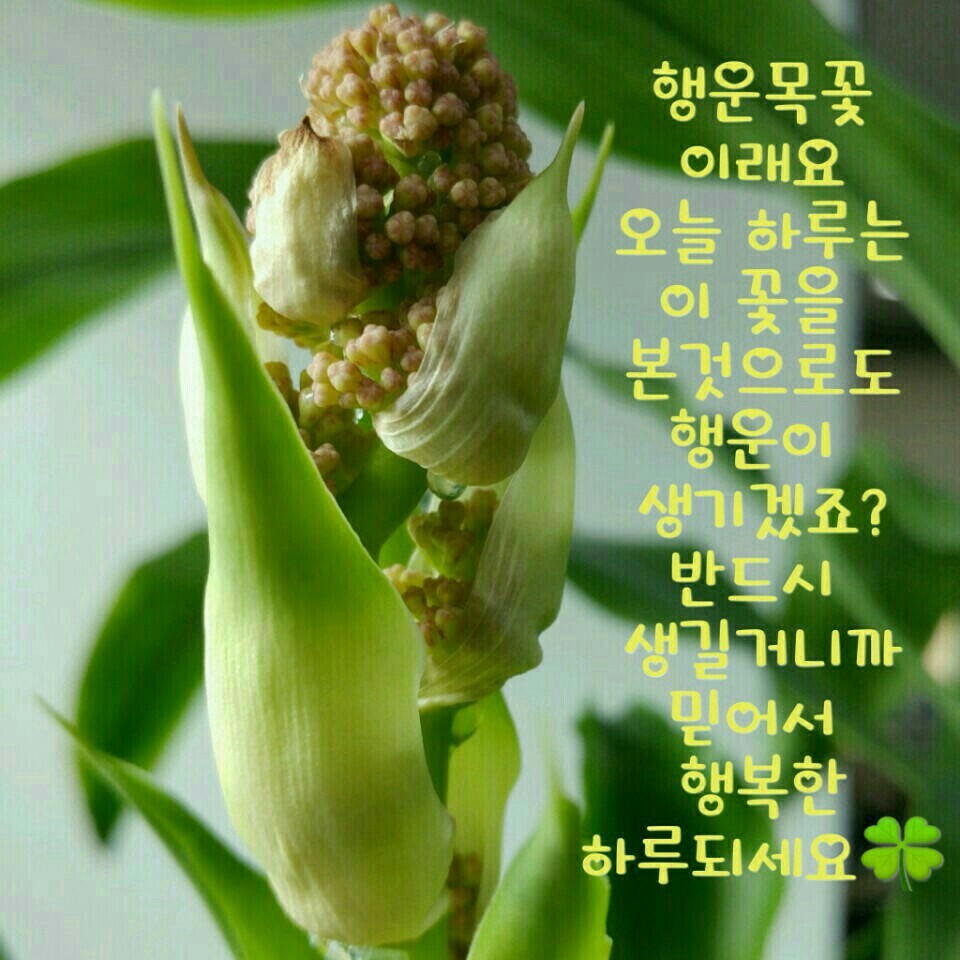 새로나웰빙 이미지