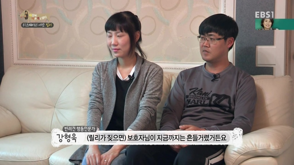 [세상에나쁜개는없다] 가족들에게 짖고 무는 강아지 릴리햏 | 인스티즈