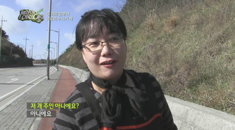 [세상에이런일이] 도로위에 망부석이 되서 주인을 기다리는 강아지.jpg | 인스티즈
