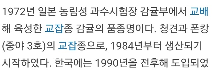 의외로 사람들이 잘못알고 있는것들 | 인스티즈
