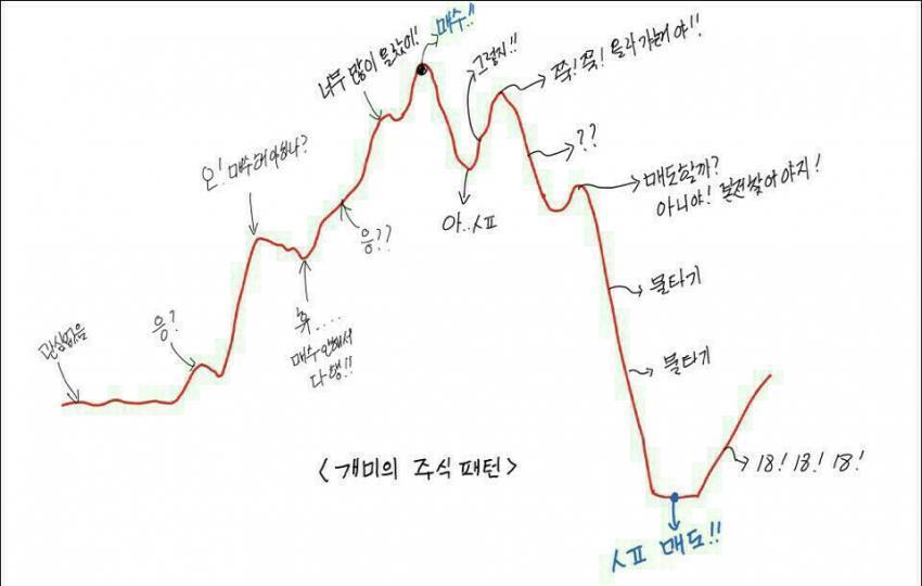 개미의 주식 패턴.jpg | 인스티즈