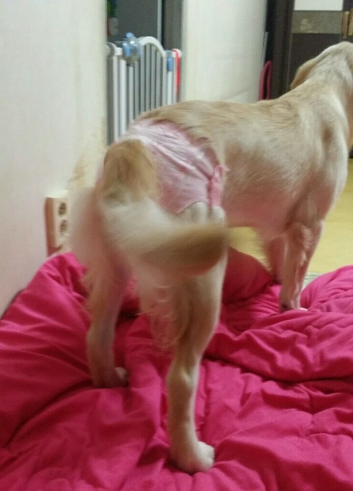 공주닭발 이미지