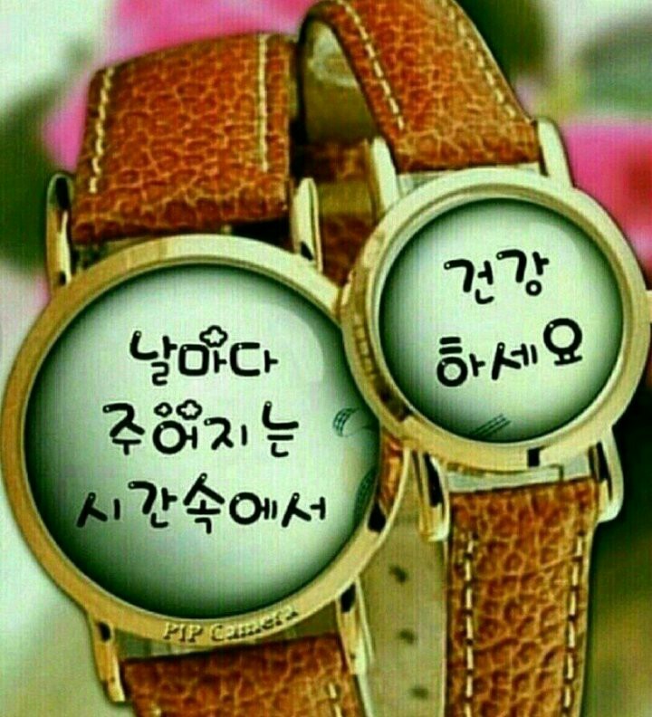송운농장 이미지