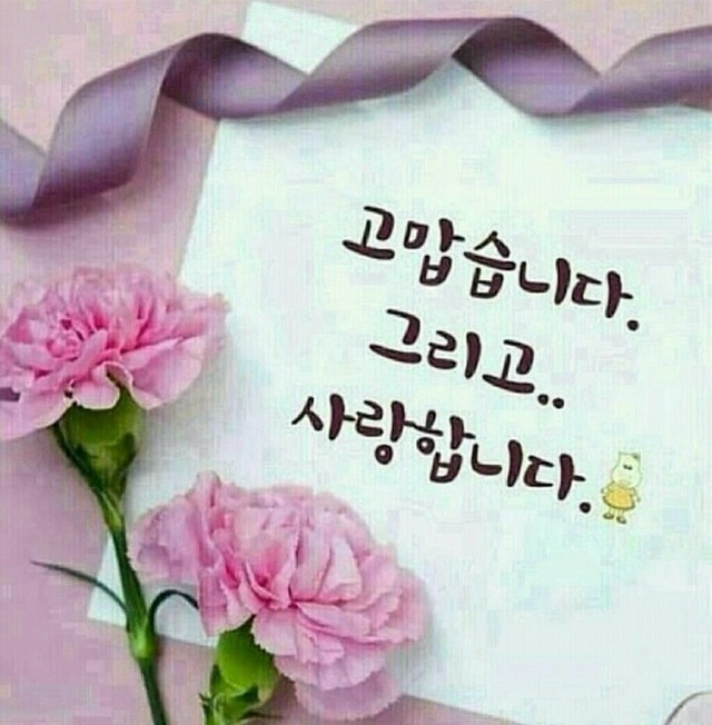 금마차 이미지