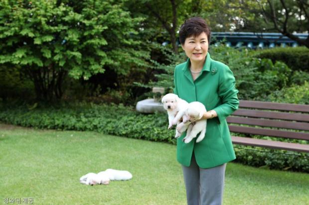 박근혜가 키우던 강아지들 | 인스티즈