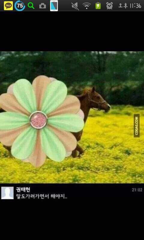 말도 가려가면서 해야지... | 인스티즈
