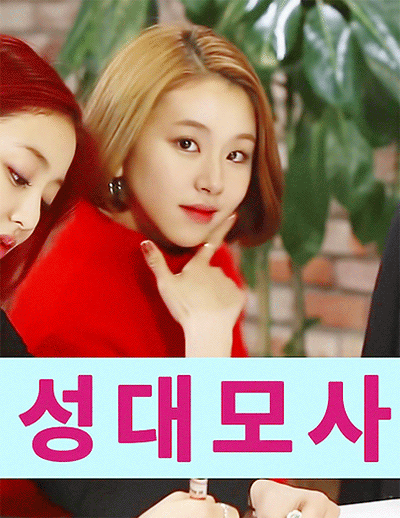 손채영.gif+jyp (데이터주의) | 인스티즈