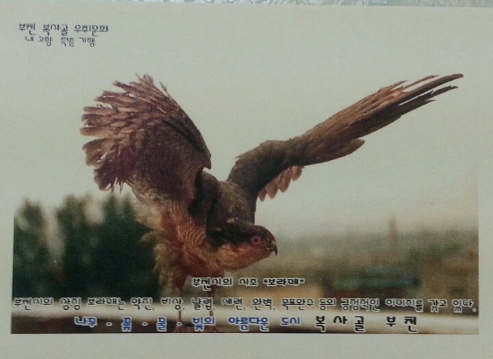 보라매 이미지
