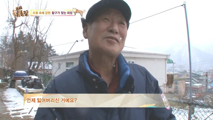 [동물농장] 수로 속에 갇힌 황구가 찾는 희망.JPG (감동주의) | 인스티즈