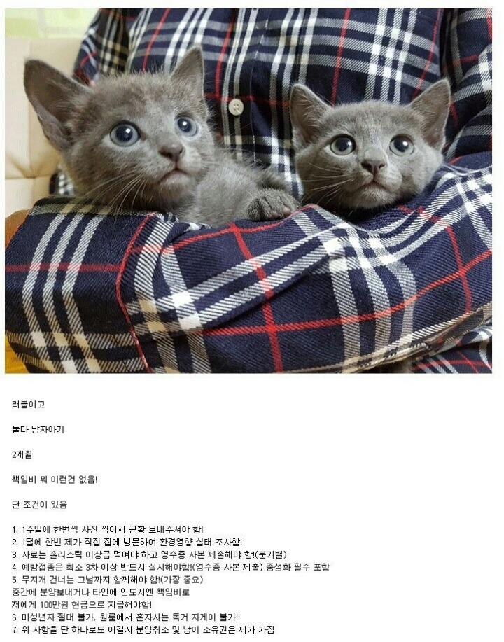 이해는 하는데 그래도 너무했다.jpg | 인스티즈