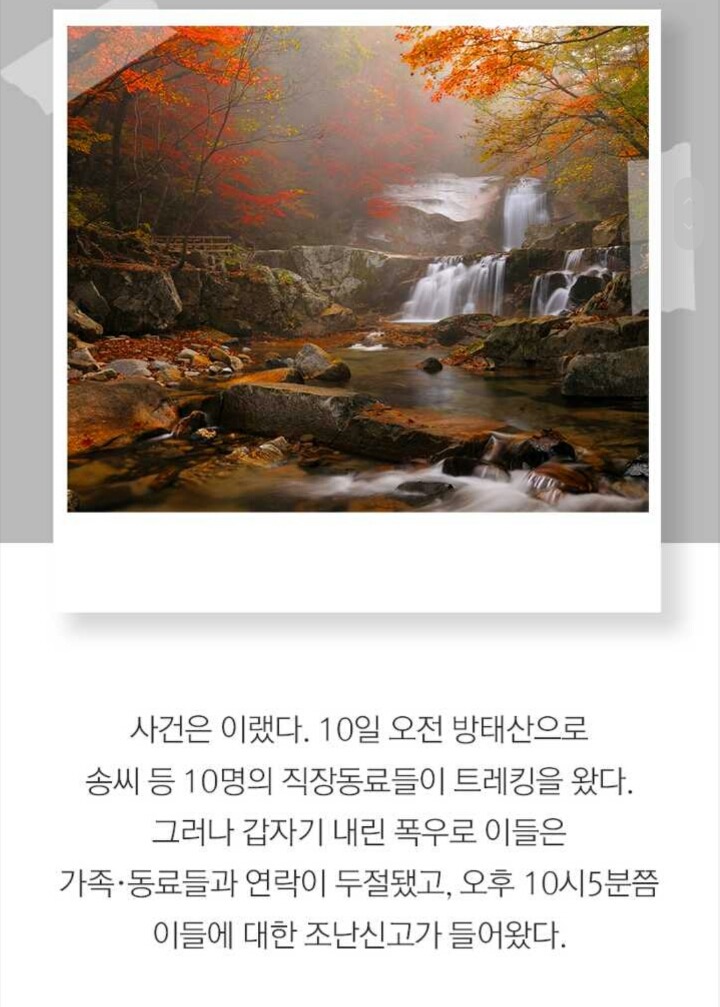 사람들 구조하는 인명구조견 삼총사 | 인스티즈