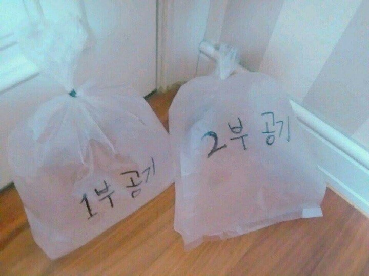 아로하 이미지