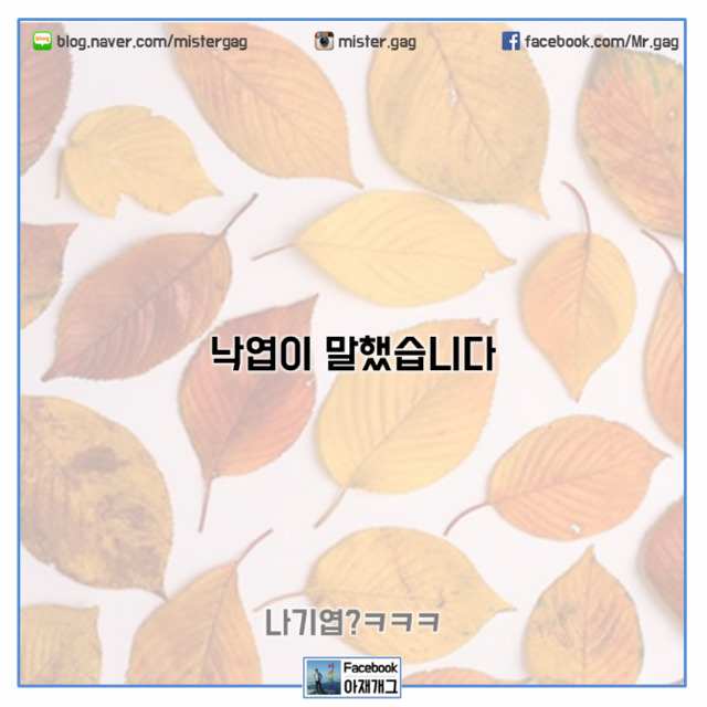 ~^^ 배꼽 붙잡고 들어오셔요 ~ | 인스티즈
