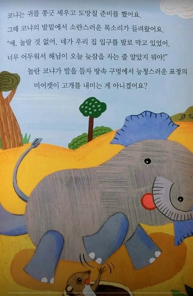 아이링고 이미지