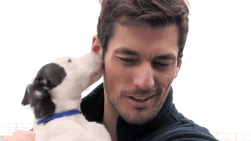 보그에서 선정한 섹시한 남자들 10.jpgif | 인스티즈