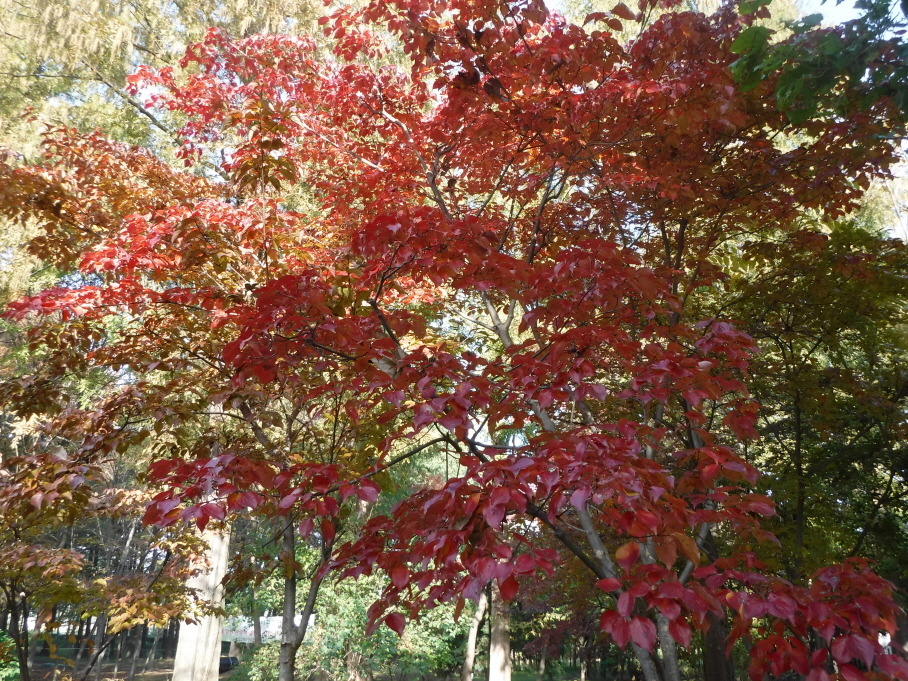 경주산책 이미지