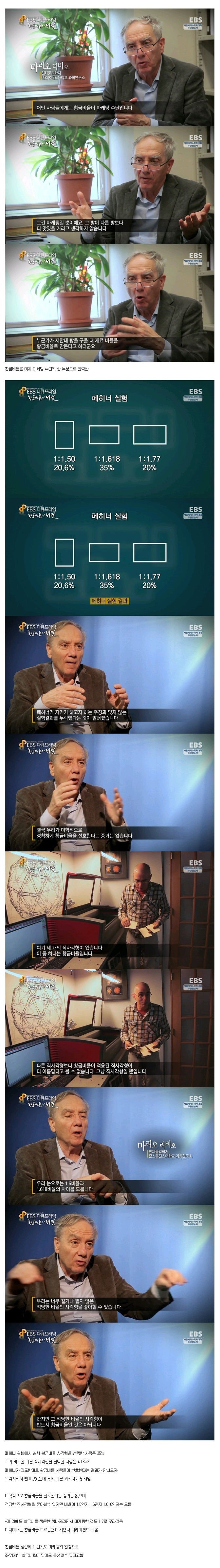 황금비율의 진실 | 인스티즈