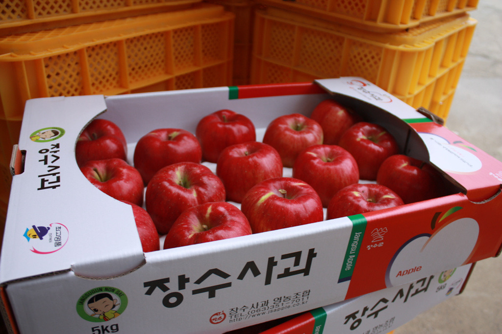 솔봉농원 이미지