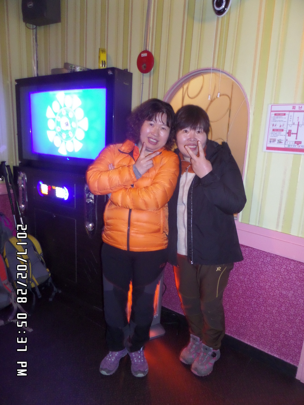 개구리노래연습장 이미지