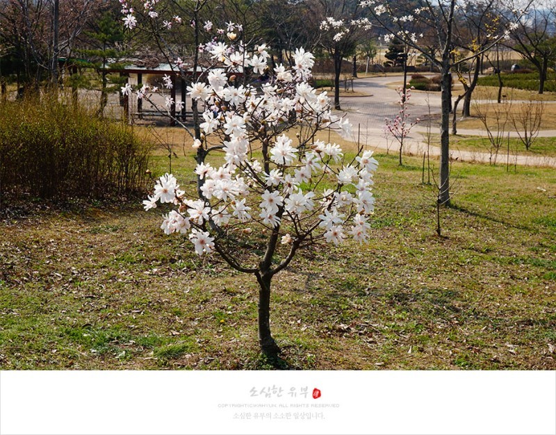 울림에향기 이미지