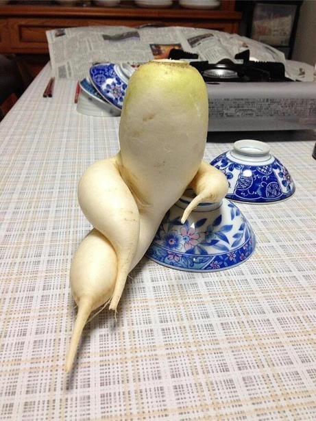 무시로 이미지