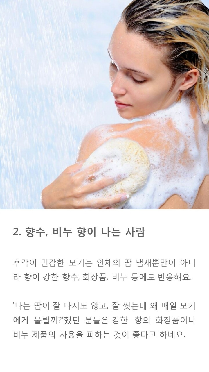 모기에게 잘 물리는 사람들 특징9가지 | 인스티즈