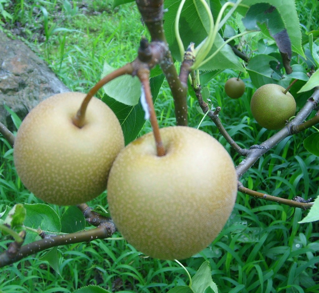 보림산장 이미지